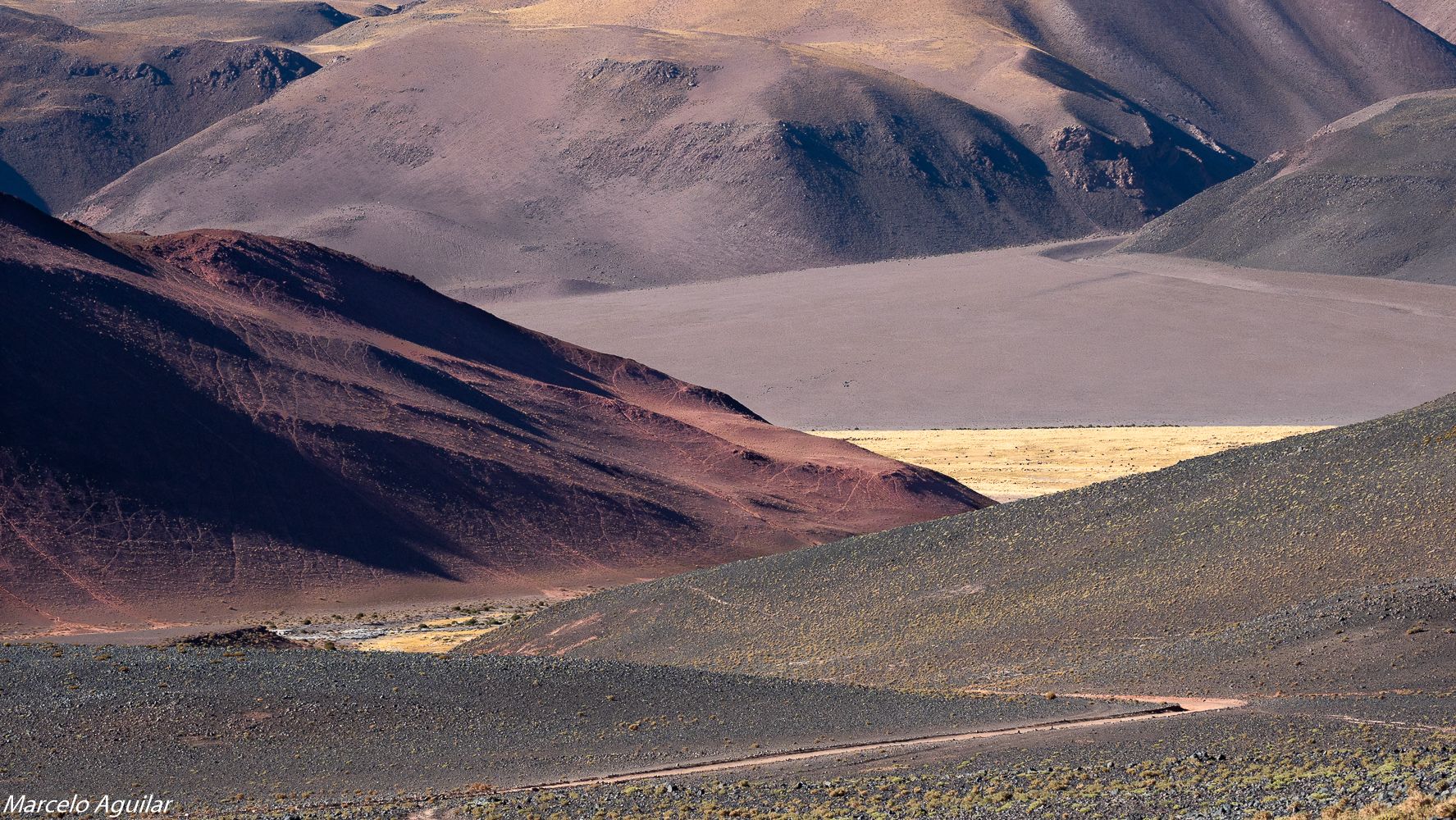 Vega colorada, Argentina