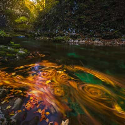 Vintgar Gorge Slovenia Bled, Slovenia