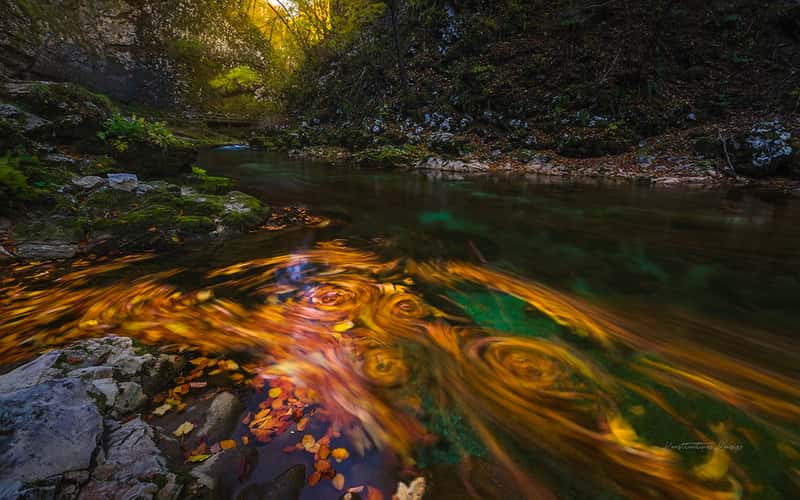 Vintgar Gorge Slovenia Bled