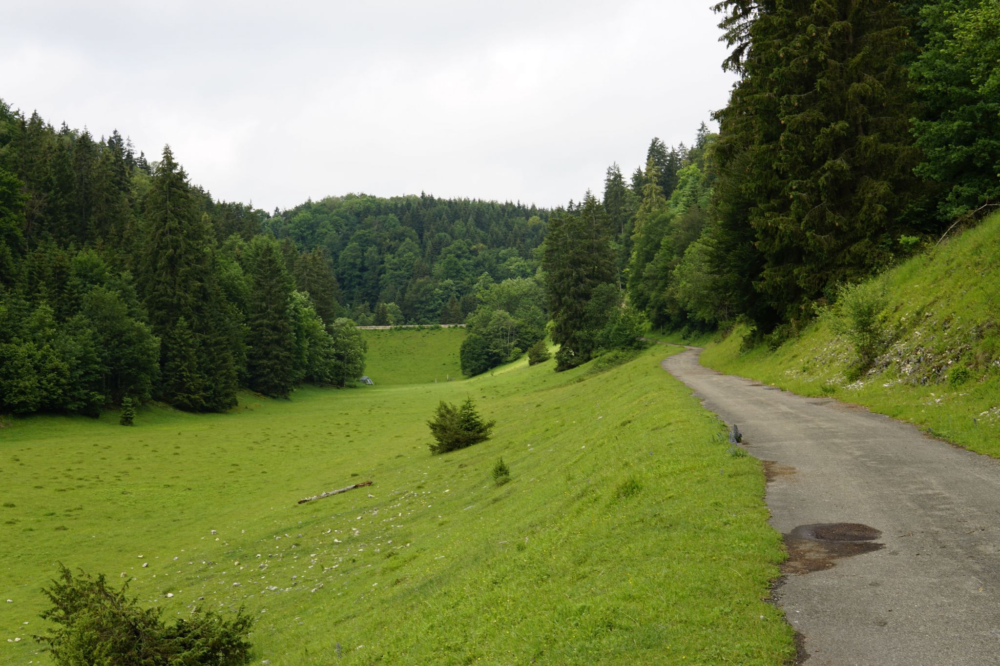 Wasserrückhaltebecken Wental, Germany