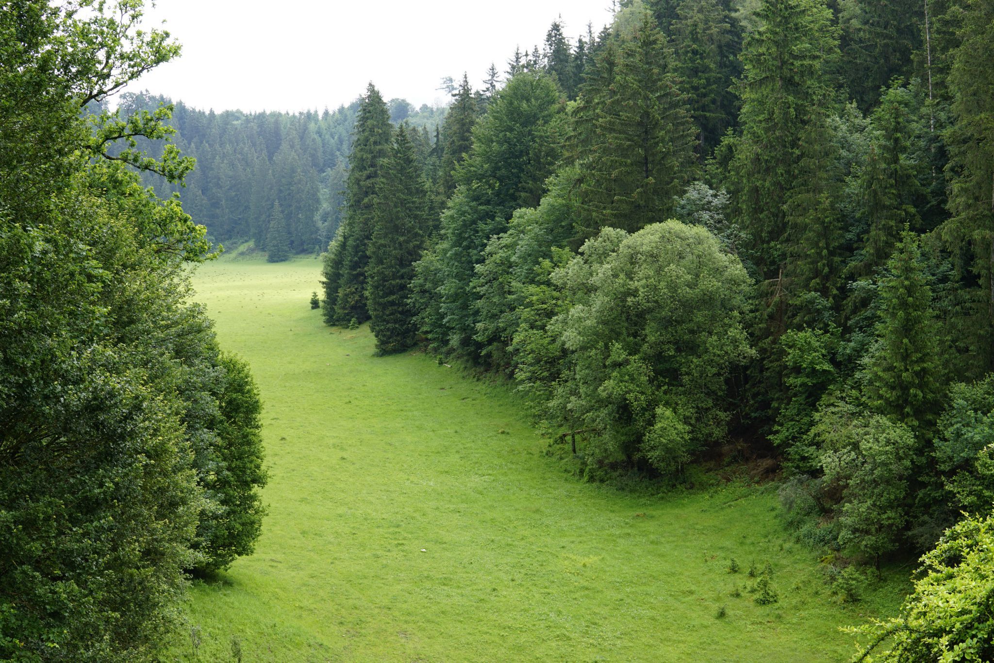 Wasserrückhaltebecken Wental, Germany