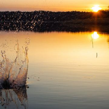Water splash in the sunset, Sweden