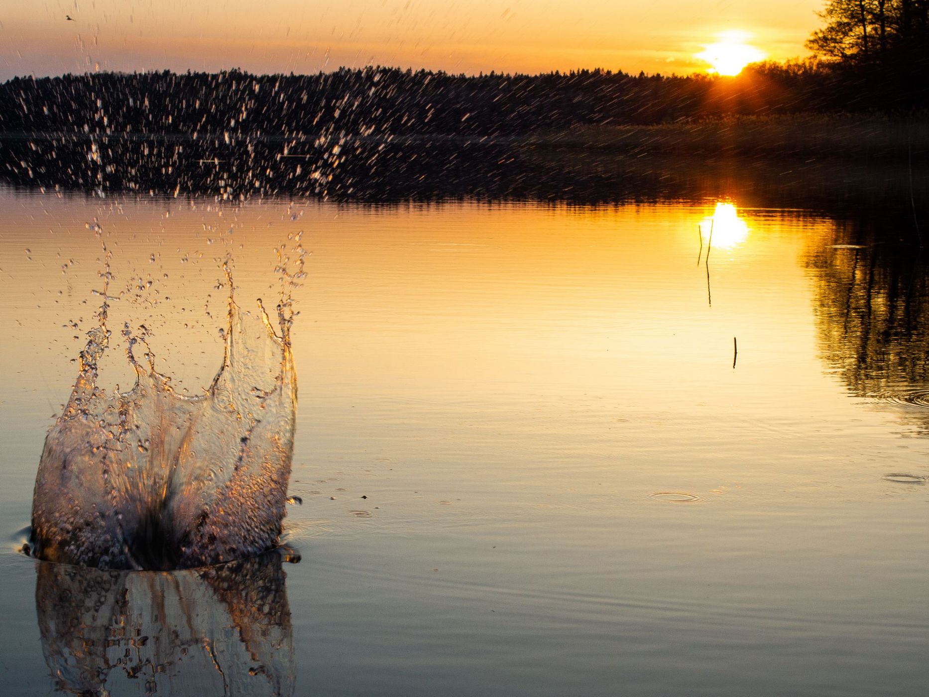 Water splash in the sunset, Sweden