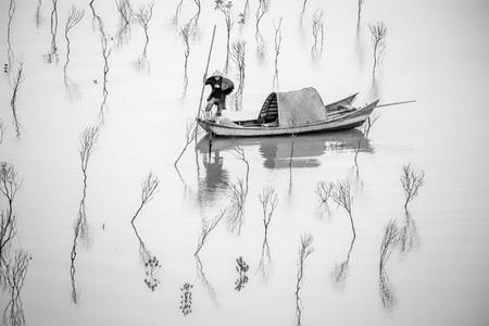 Xiapu Fisherman in the baby Mangroves