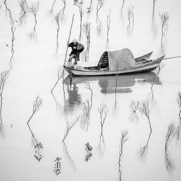 Xiapu Fisherman in the baby Mangroves, China