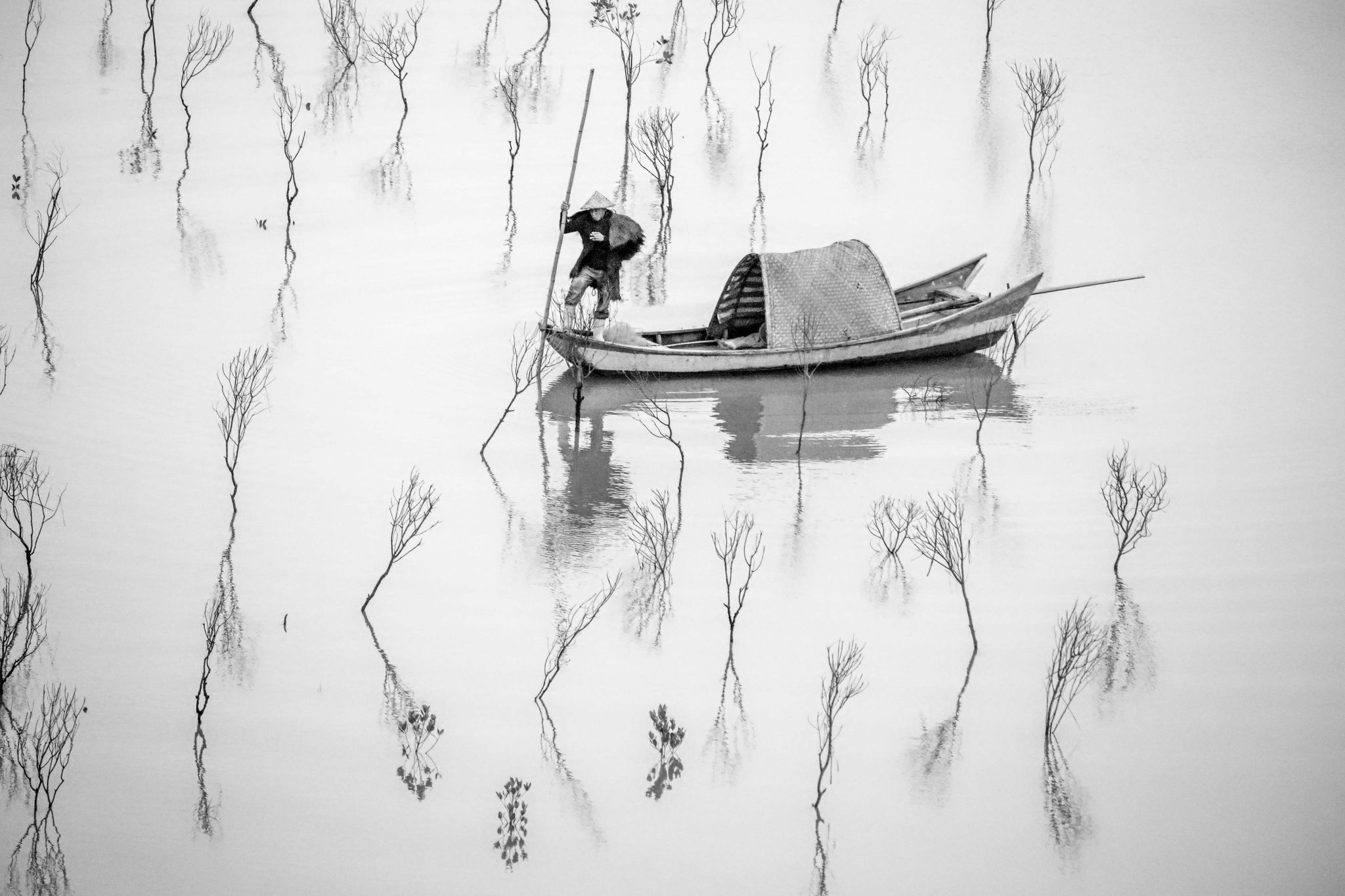 Xiapu Fisherman in the baby Mangroves, China