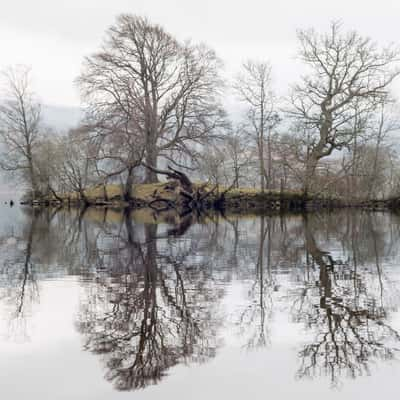 A river leading into Loch Lomond, United Kingdom