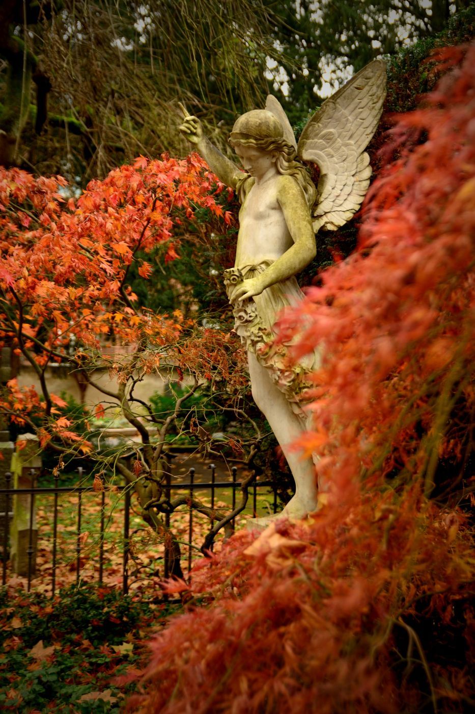 Old graveyard, Bonn, Germany
