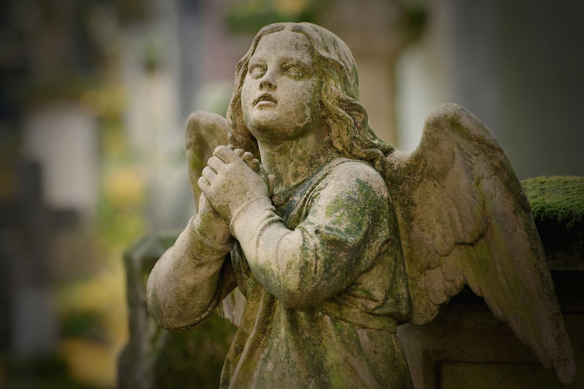 Old graveyard, Bonn, Germany