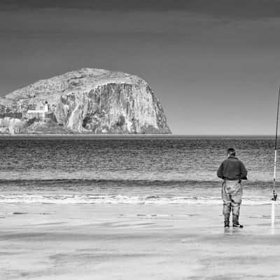 Bass Rock, United Kingdom