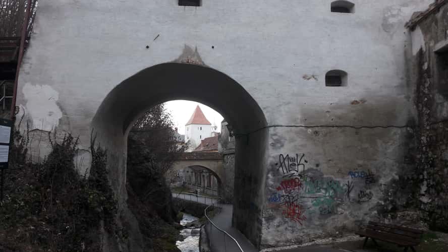 Bastionul Graft