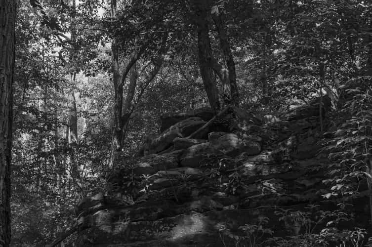 Beartown Rocks