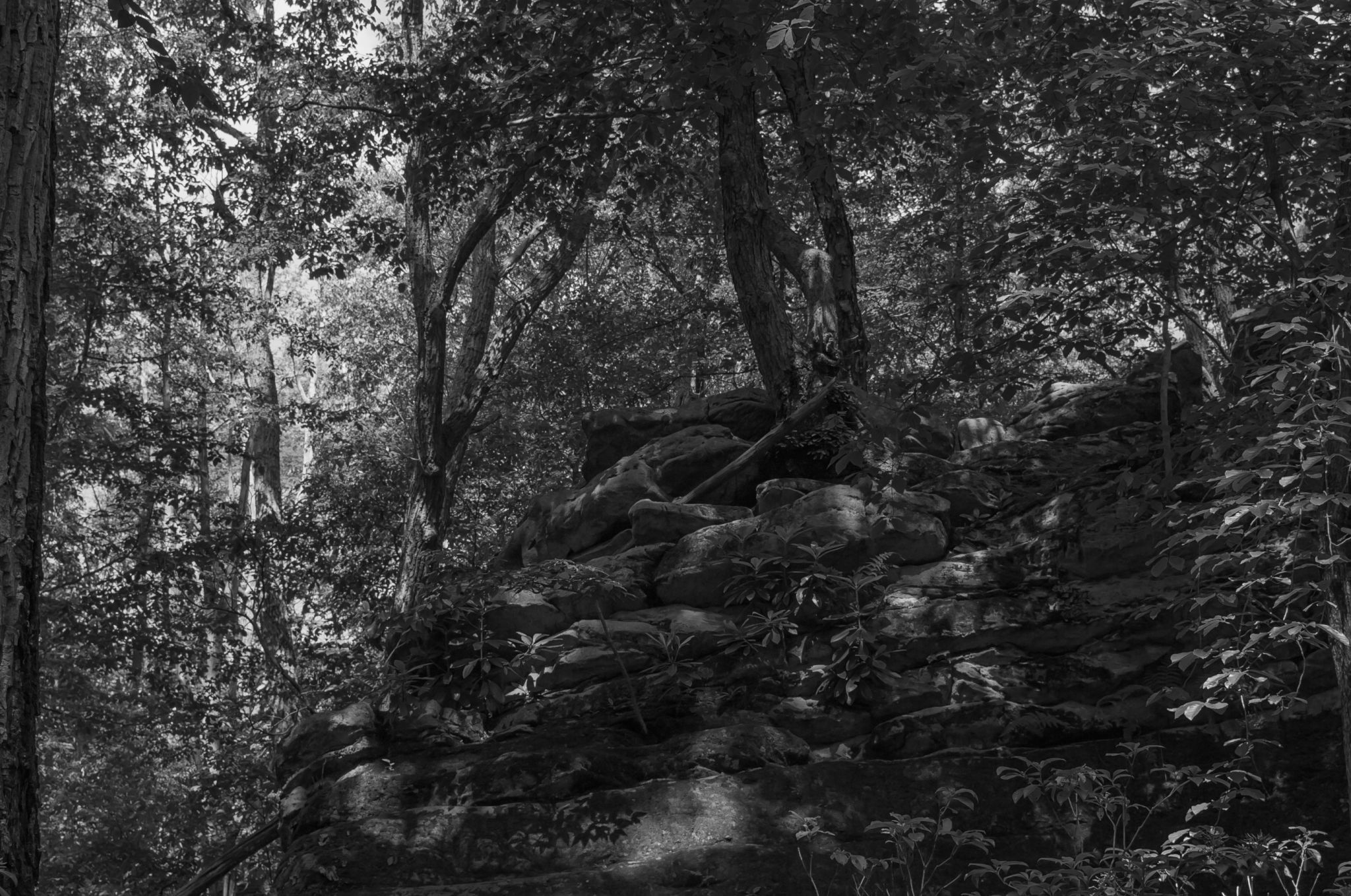 Beartown Rocks, USA