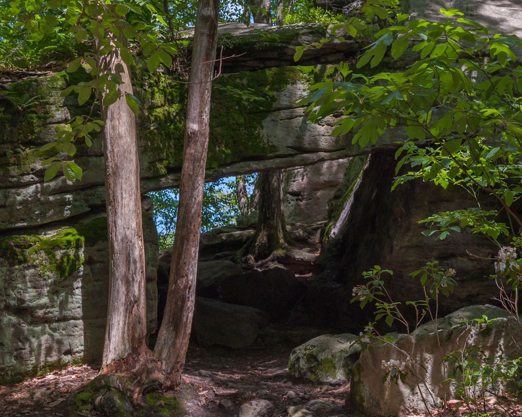 Beartown Rocks, USA
