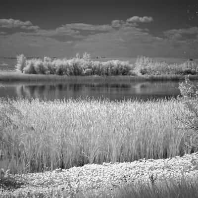 Bike / Hike Trail at Aurora Reservoir, USA