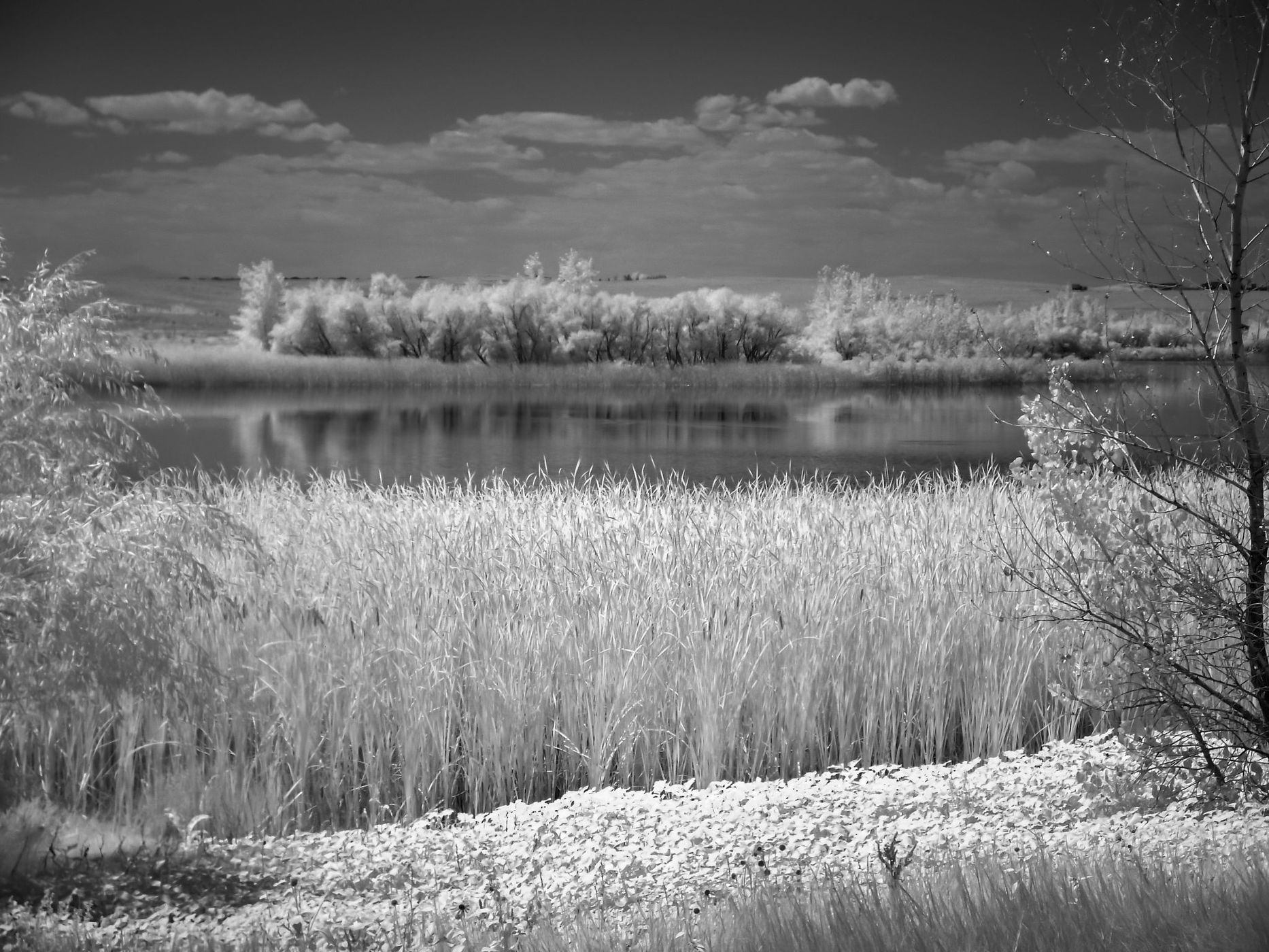 Bike / Hike Trail at Aurora Reservoir, USA