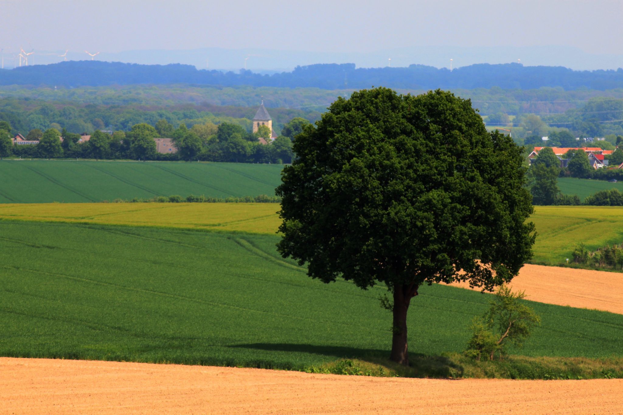 Blick von den Baumbergen auf Havixbeck, Germany