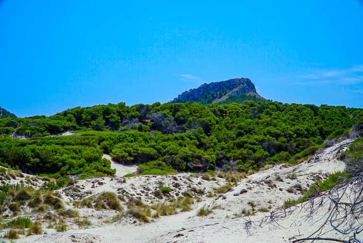 Cala Mesquida
