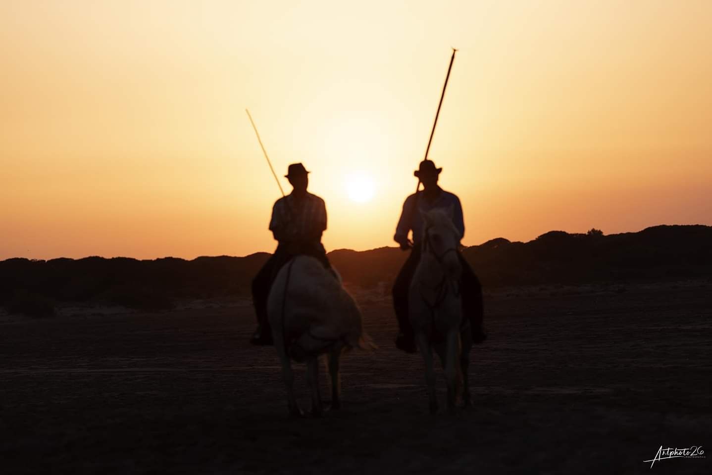 #camargue, France