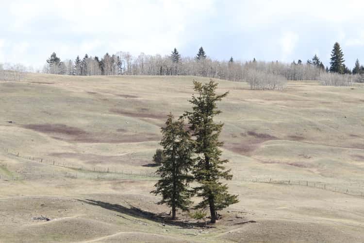 Cariboo Highway, BC, Canada