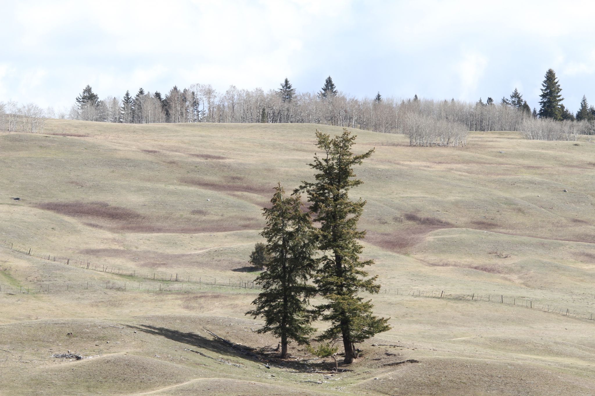 Cariboo Highway, BC, Canada, Canada