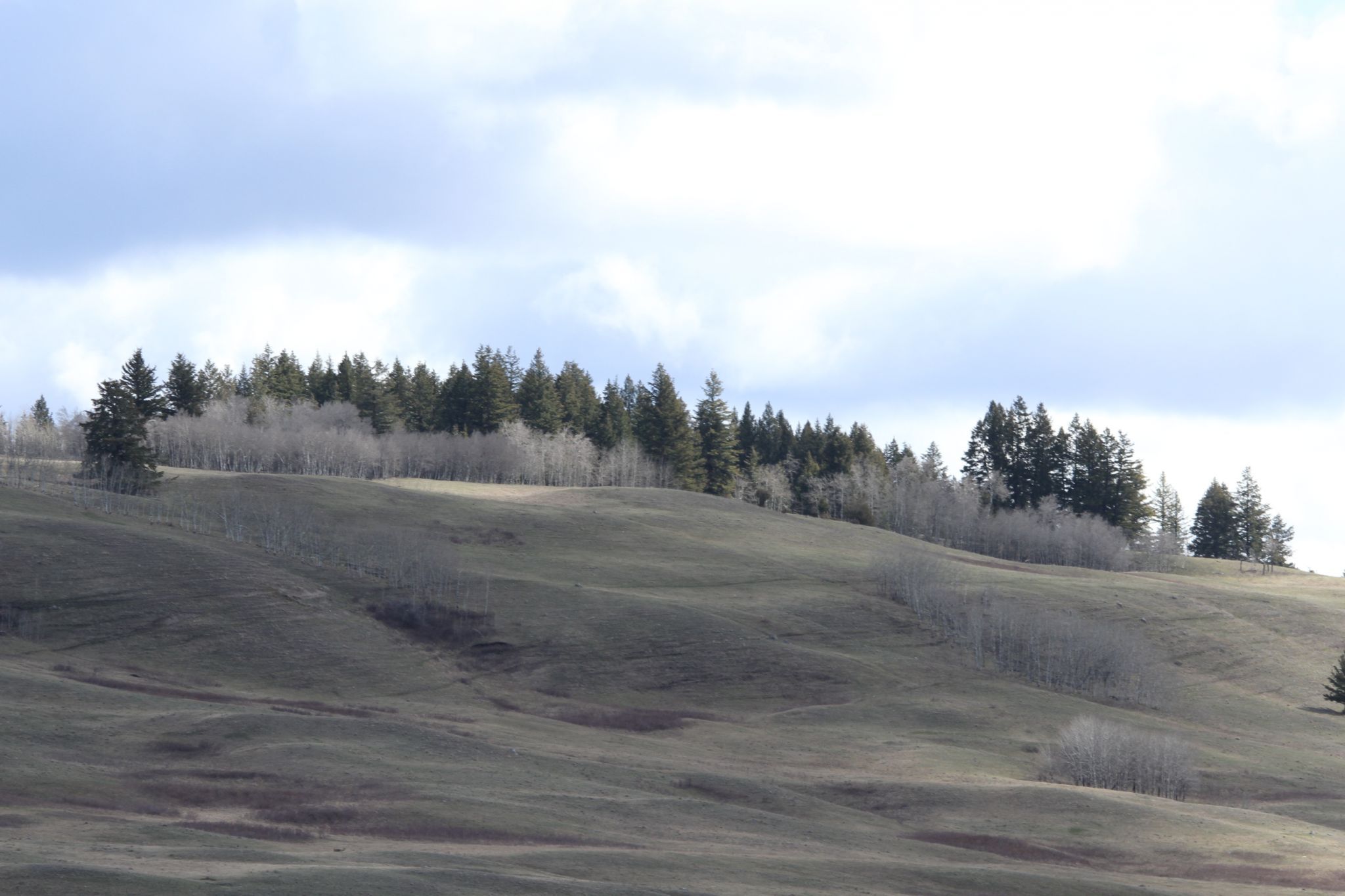 Cariboo Highway, BC, Canada, Canada
