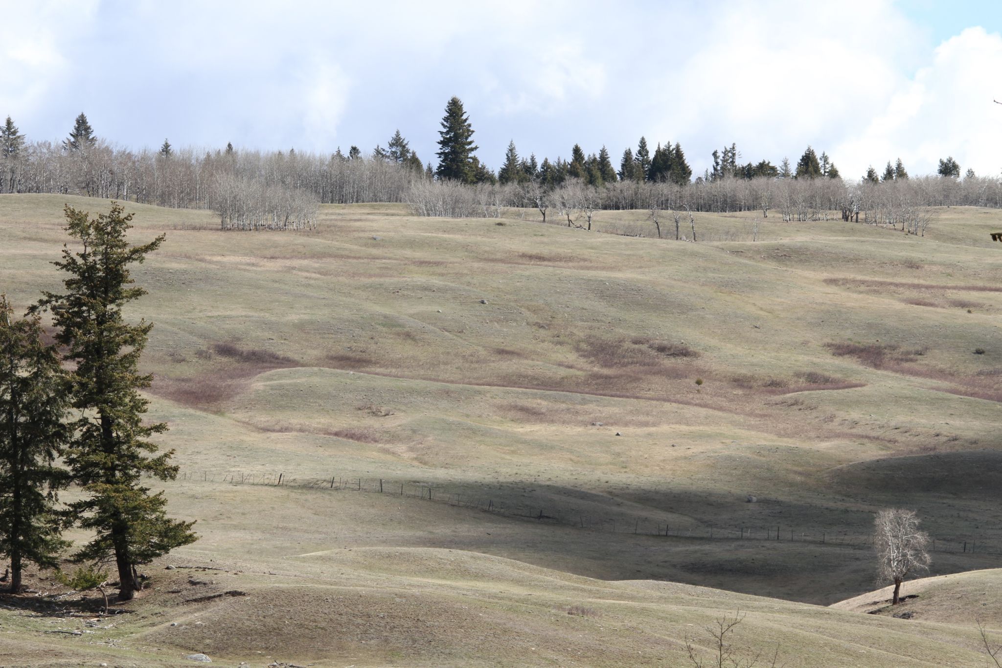 Cariboo Highway, BC, Canada, Canada