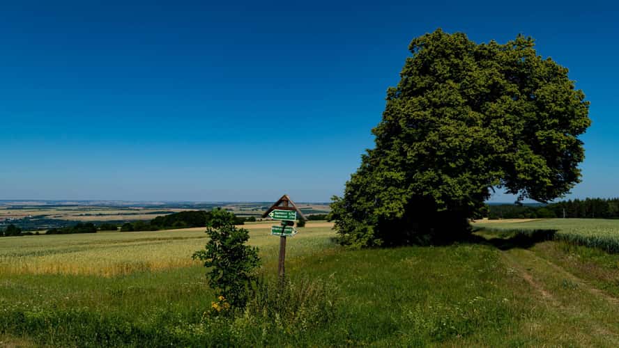 Carolinen Turm