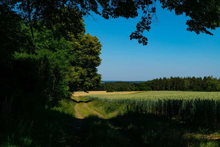 Carolinen Turm
