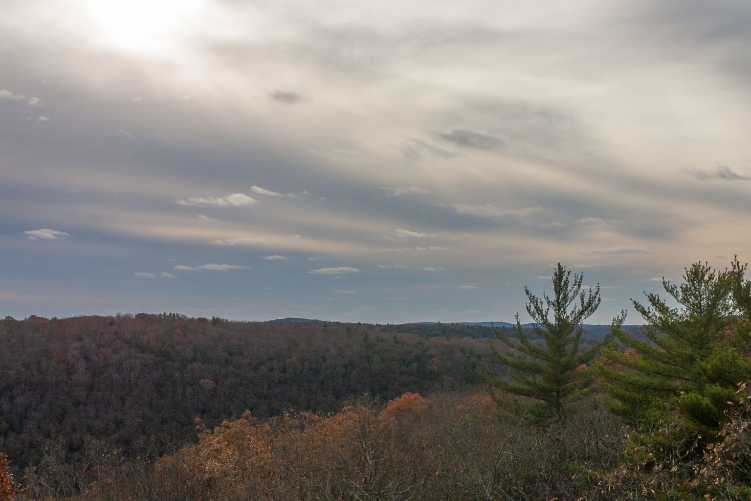 Cook Forest Tower, USA