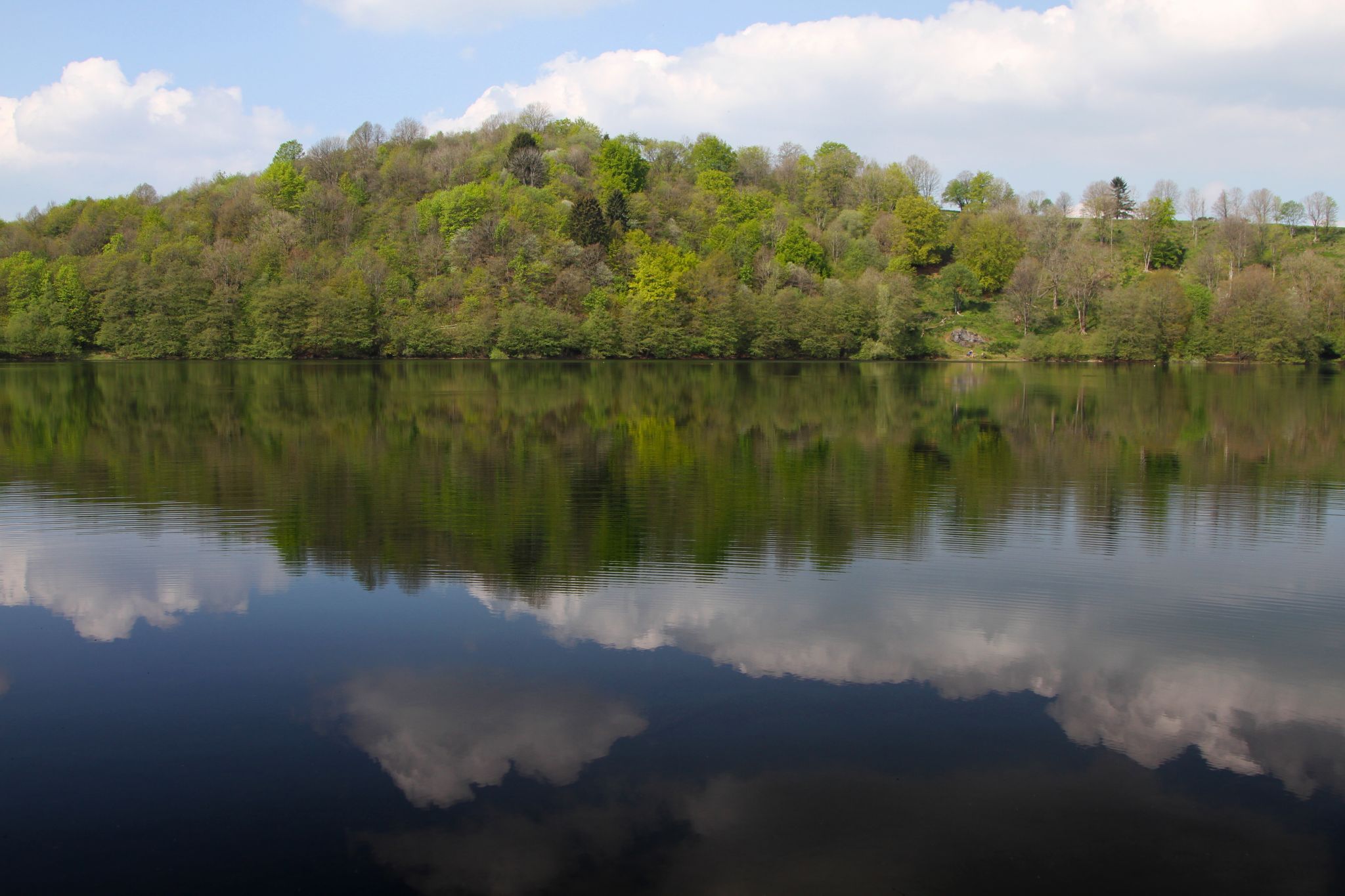 Dauner Maare, Eifel, Germany, Germany