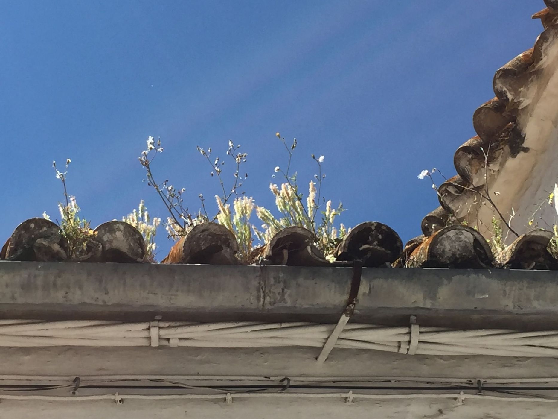 Details in the city, Spain