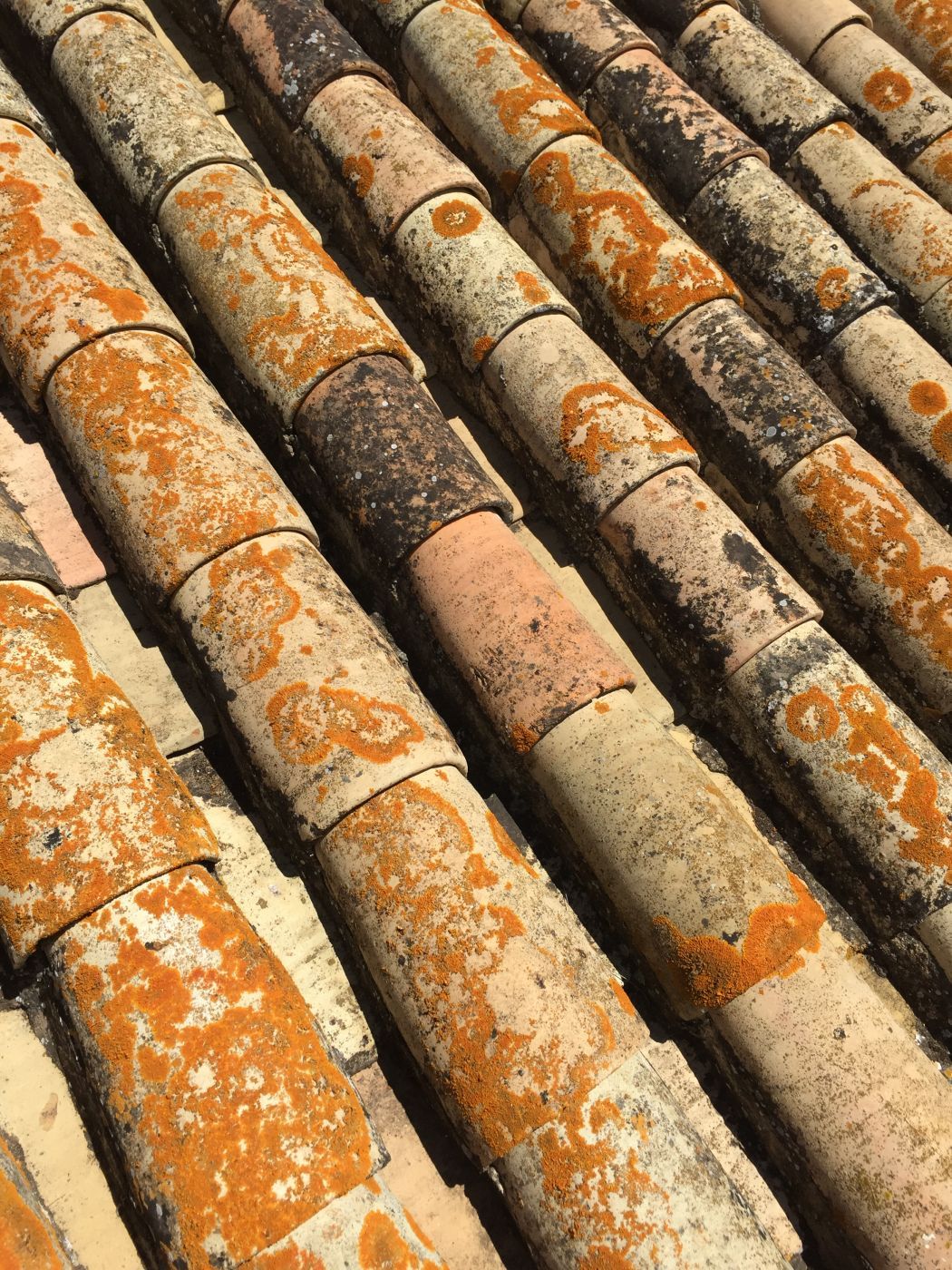 Details in the city, Spain