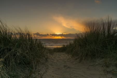 Dunes, Egmond aan Zee