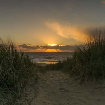 Dunes, Egmond aan Zee, Netherlands