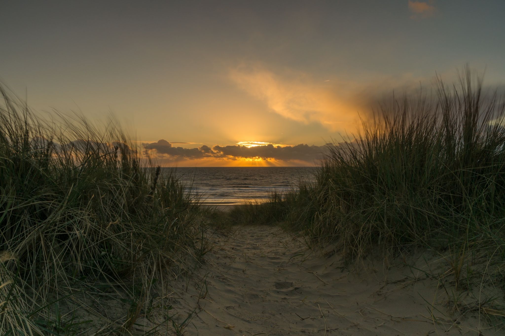 Dunes, Egmond aan Zee, Netherlands
