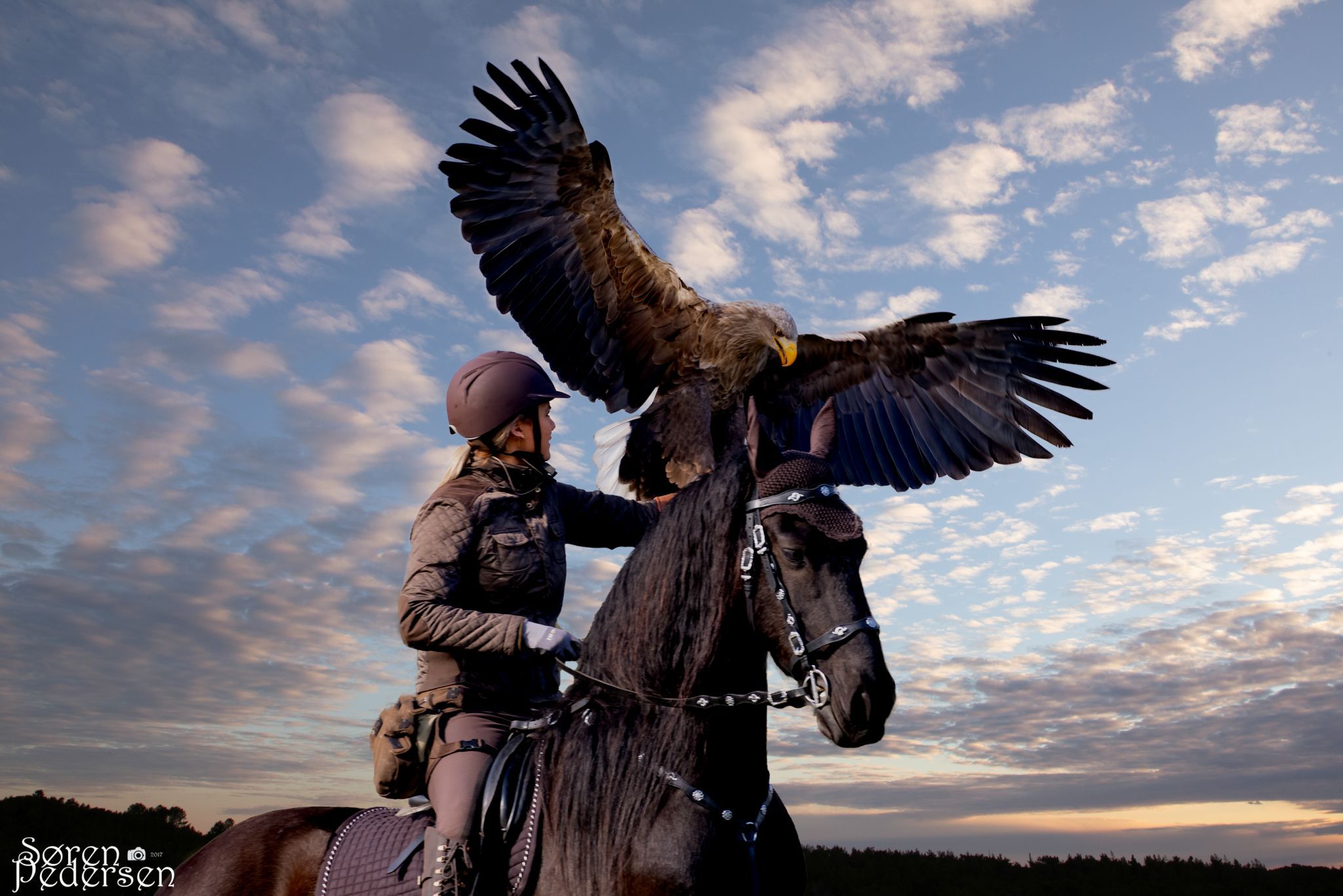 Eagleworld, Denmark