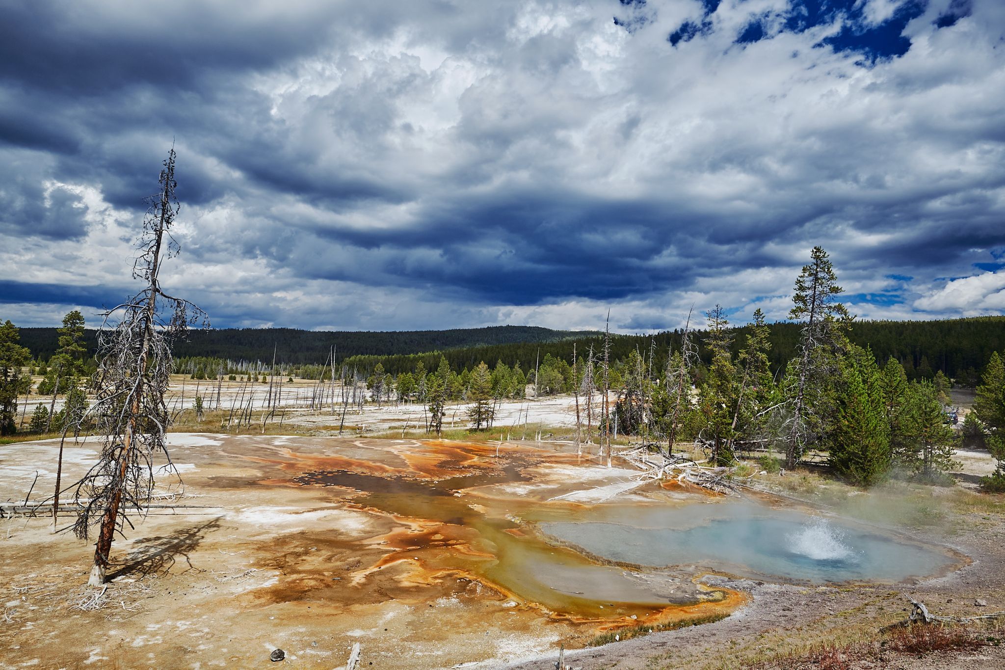 Firehole Spring, Yellowstone National Park, USA