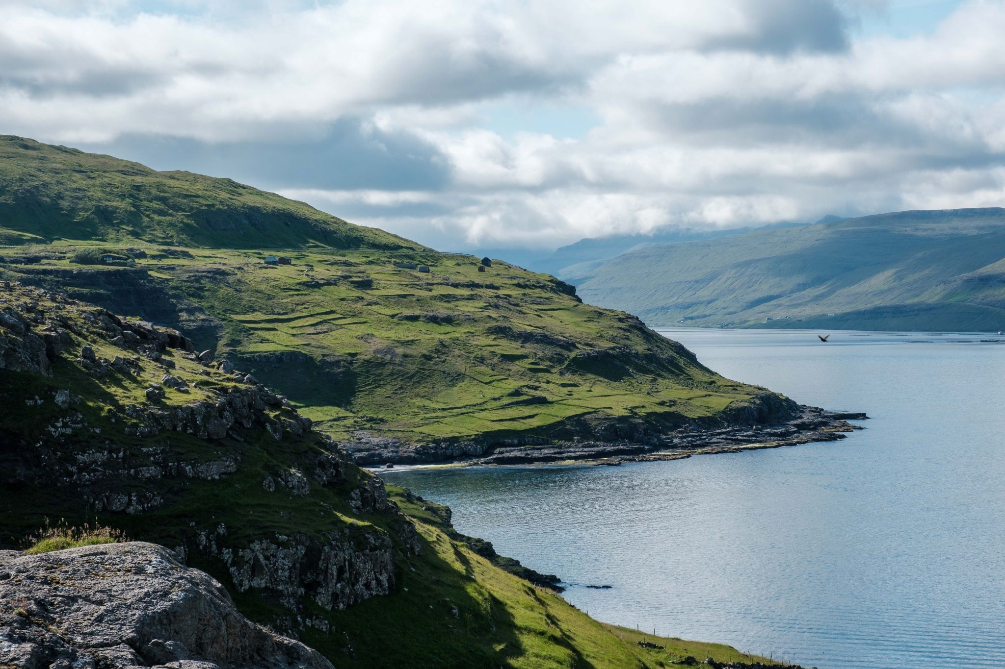 Fjord & Grass, Faroe Islands