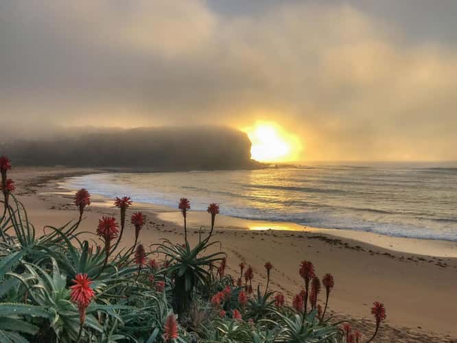 Fog Rise sunrise Mona Vale Head land Sydney