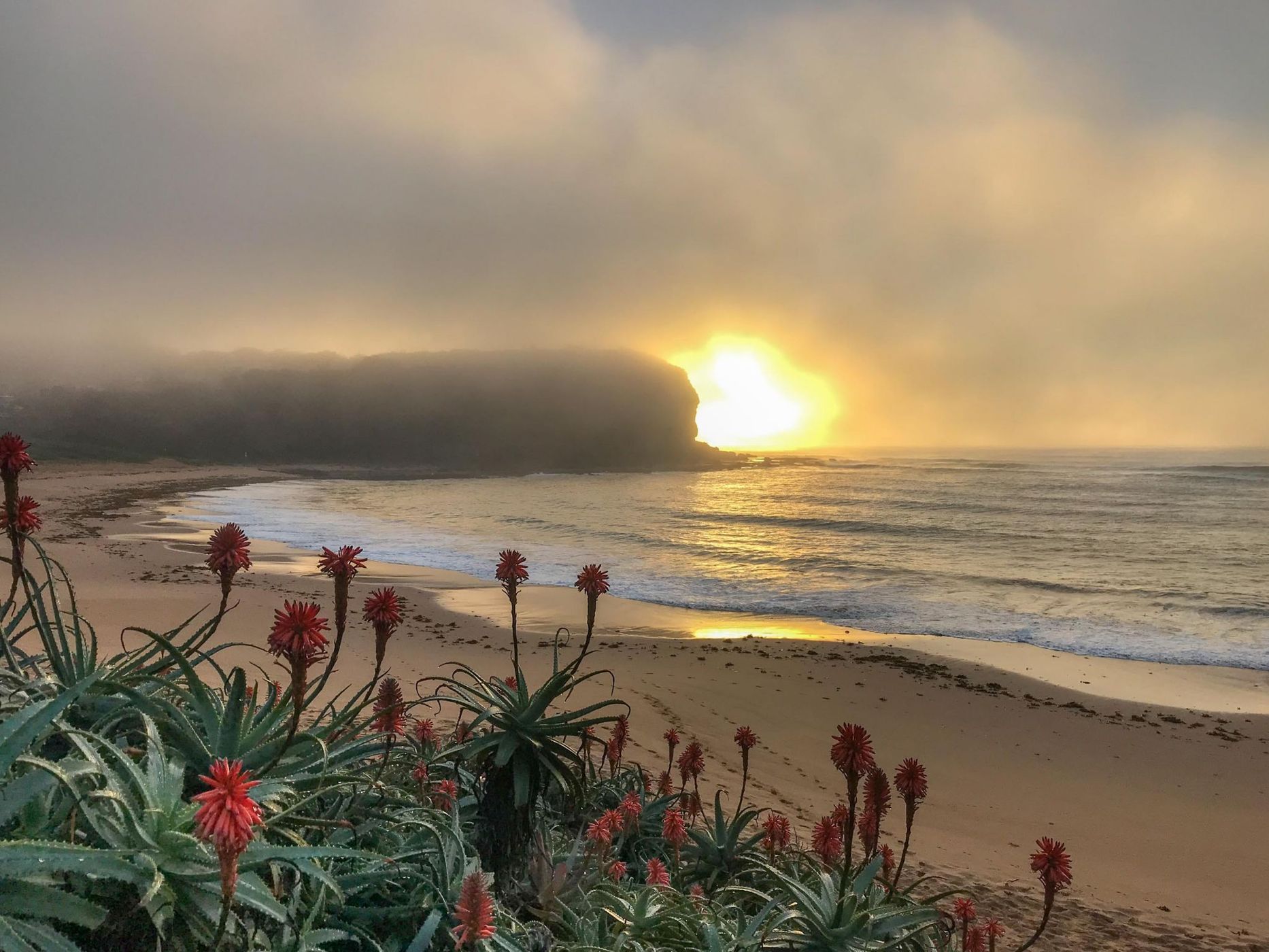 Fog Rise sunrise Mona Vale Head land Sydney, Australia