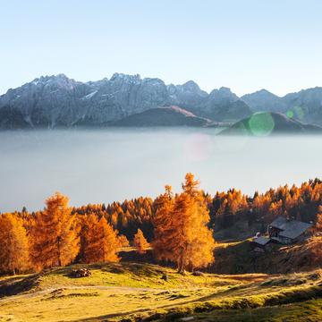 golden autumn, Austria