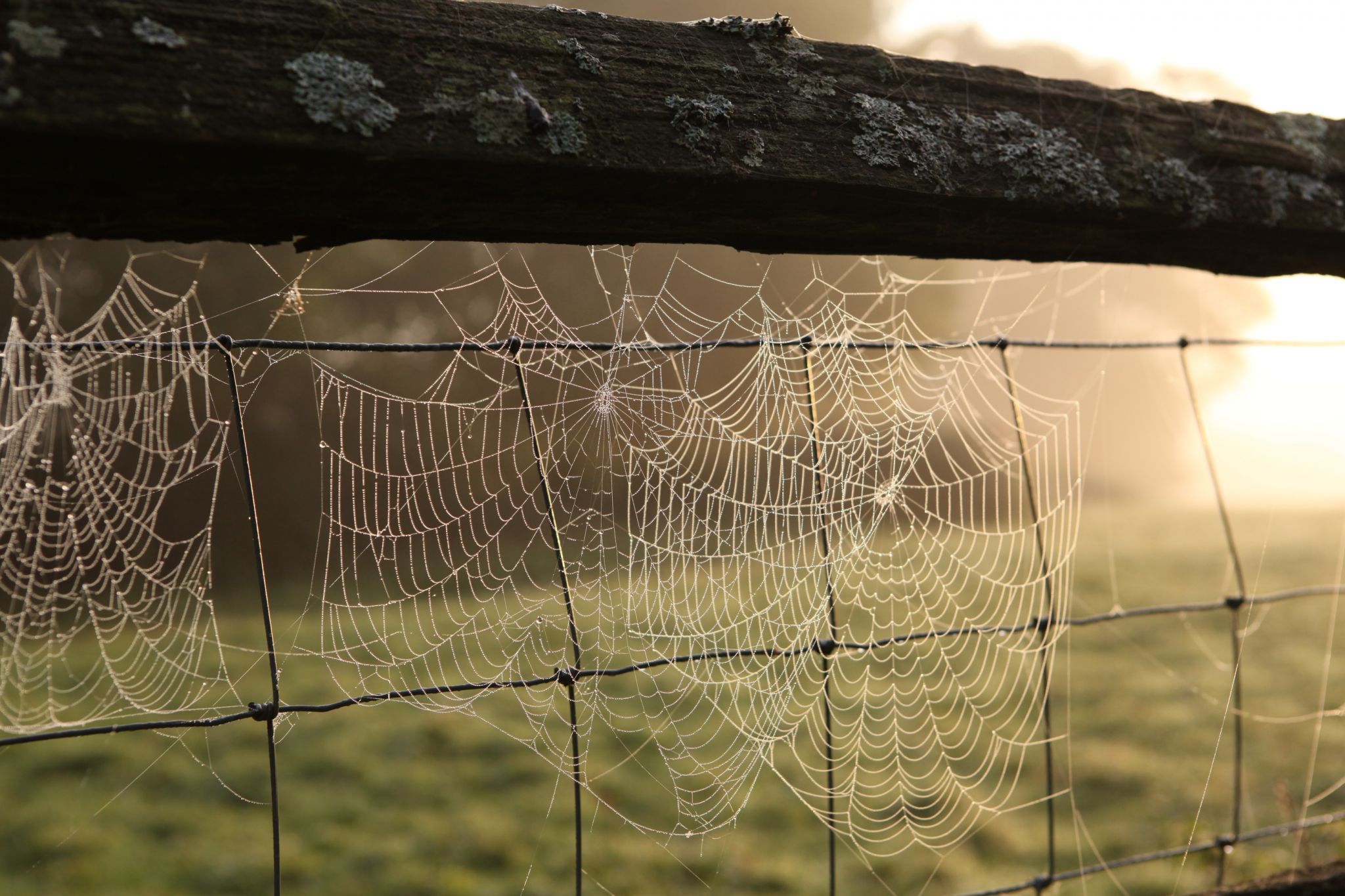 Goudhurst, United Kingdom
