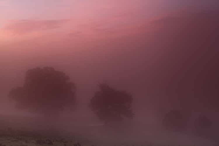 Goudhurst