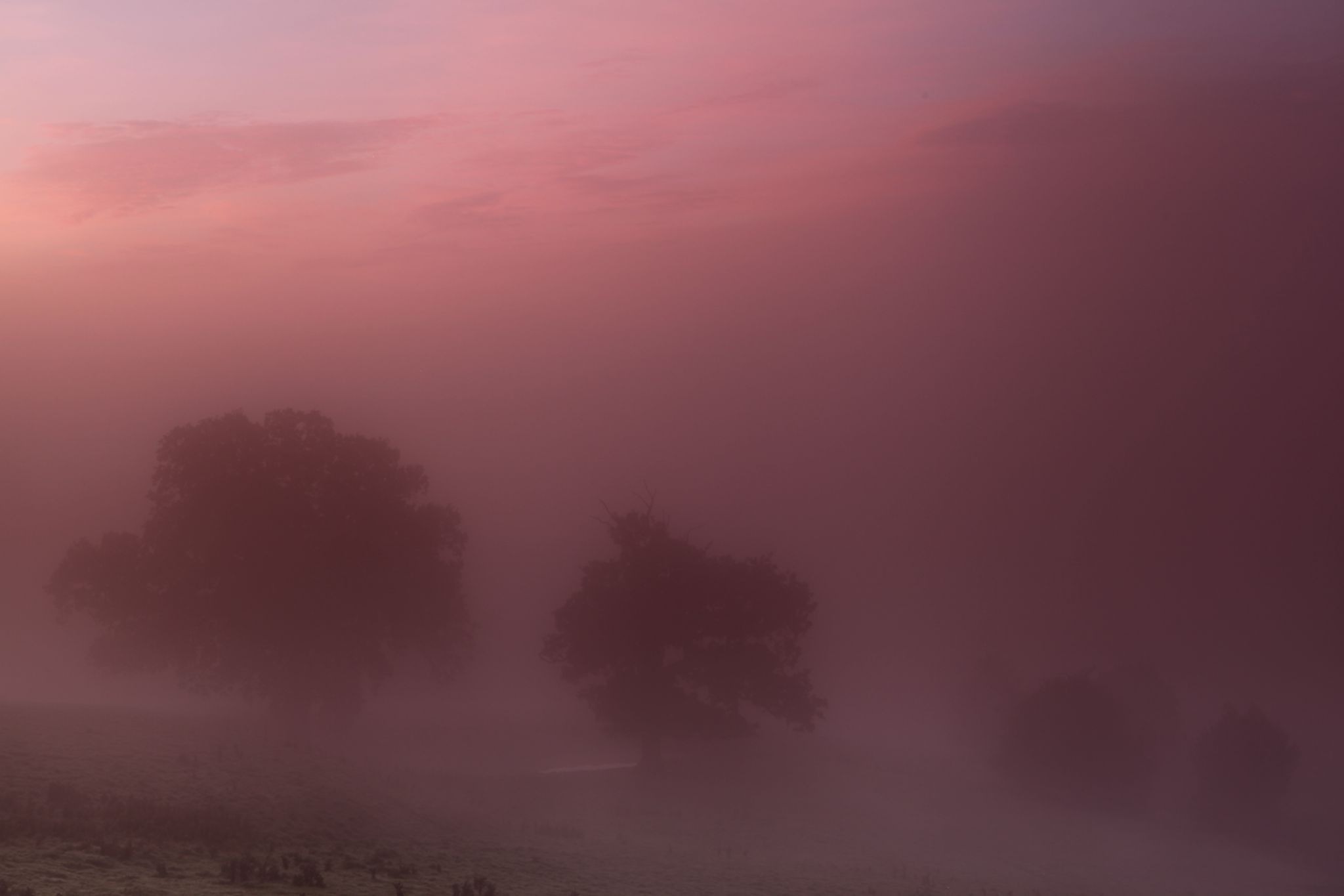 Goudhurst, United Kingdom