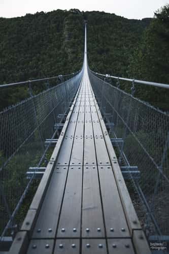 On the rope bridge