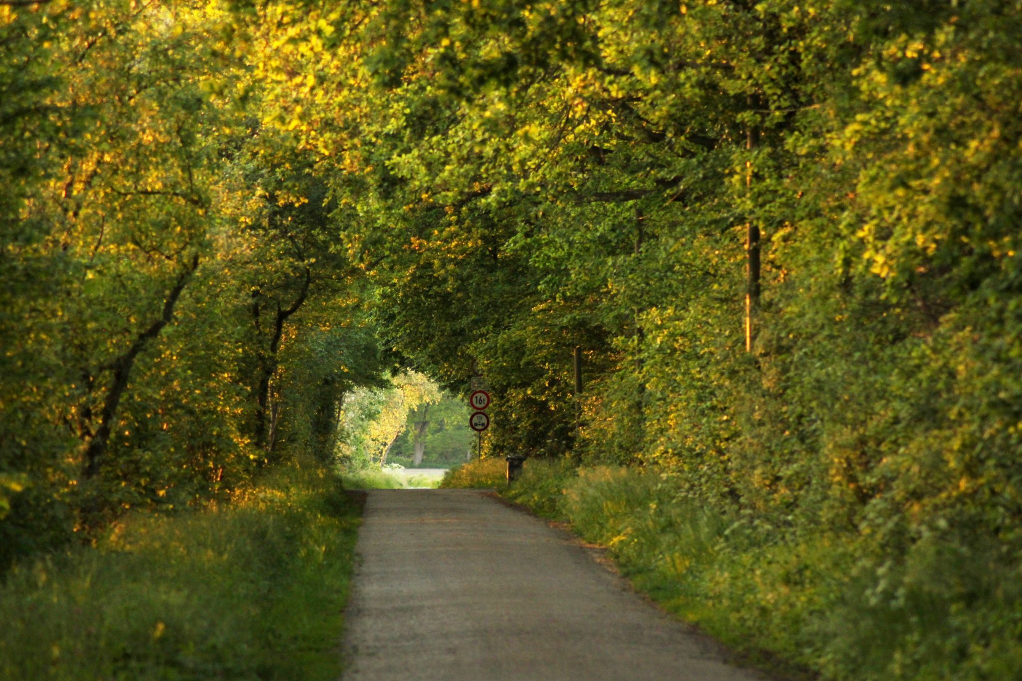 Havixbeck, Bauerschaft Herkentrup, Germany