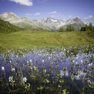 Hirschbichl, Austria