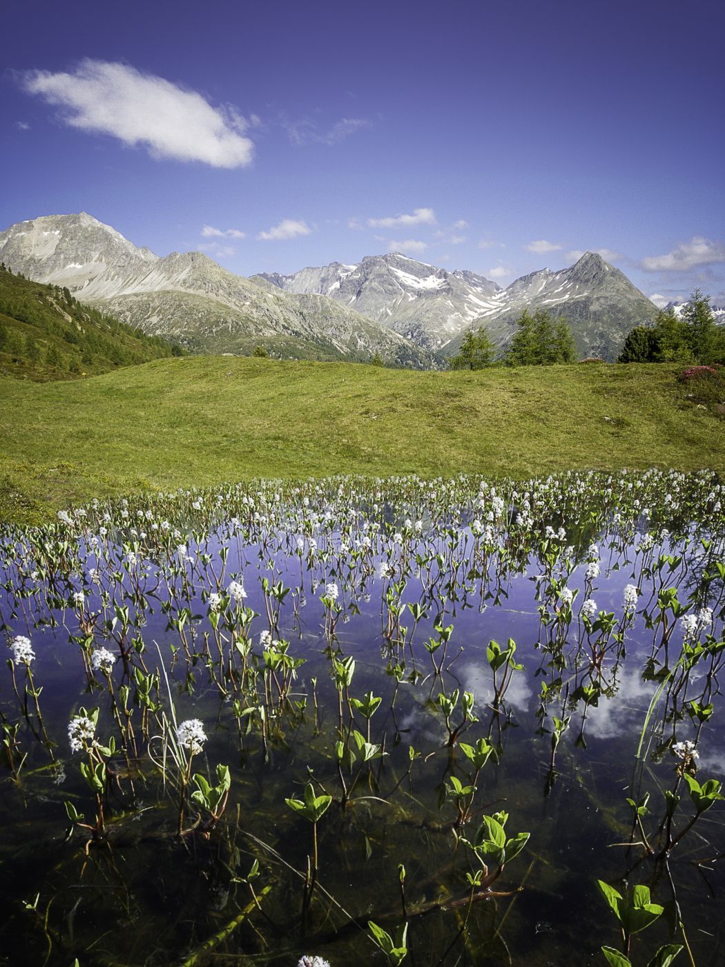 Hirschbichl, Austria