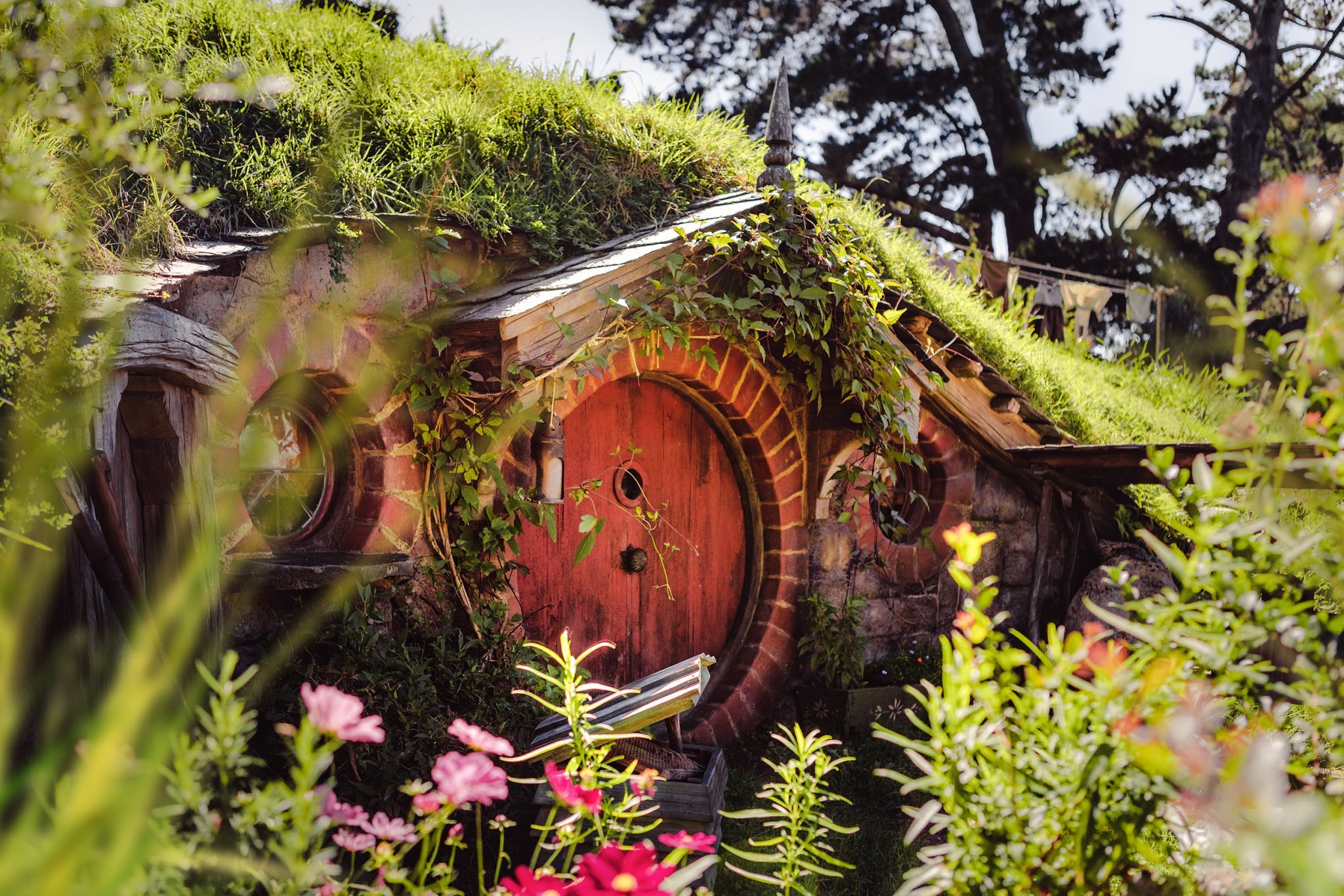 Hobbiton, New Zealand